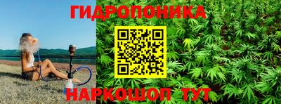 прущие грибы Тара