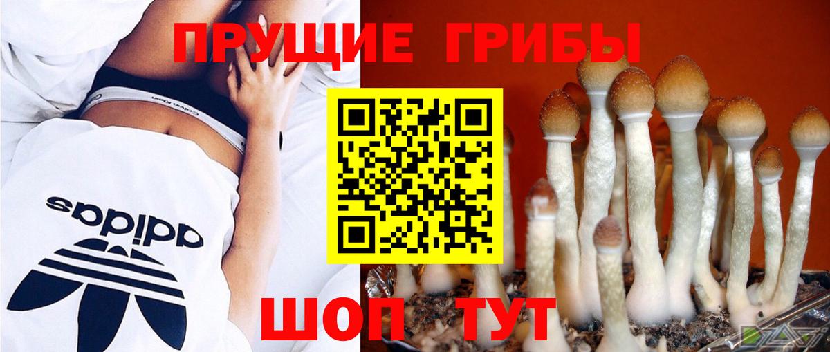 Псилоцибиновые грибы Psilocybe  Вход с VPN  Нурлат 